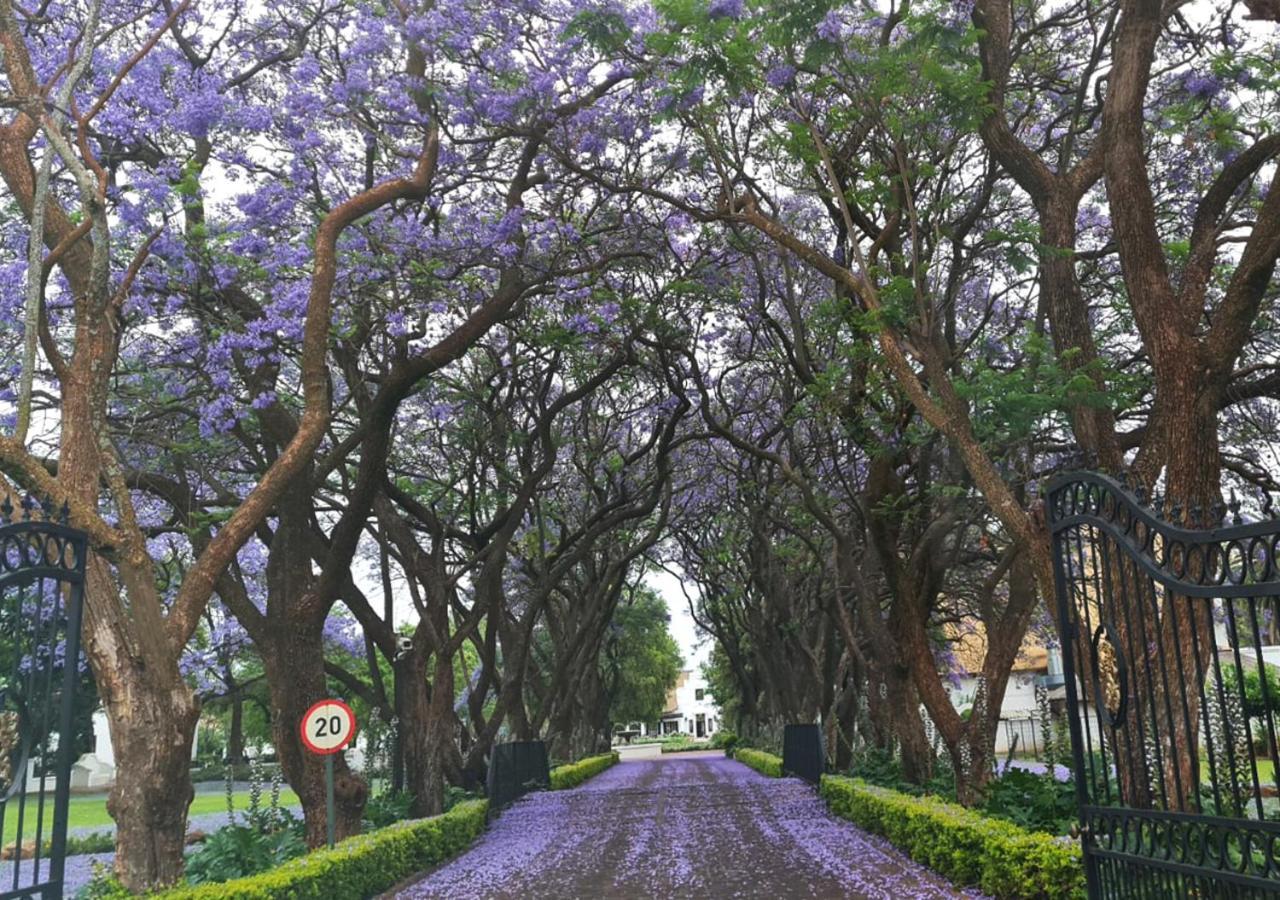 Kievits Kroon Gauteng Wine Estate Pretoria-Noord Buitenkant foto